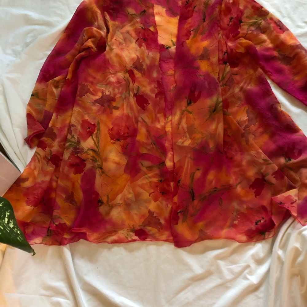 Sheer Jacket - image 1